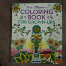 67-the-ultimate-coloring-book-for-grownups..jpg